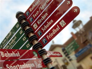 高校运动队选拔机制公平性研究，高校运动队选拔机制公平性研究报告